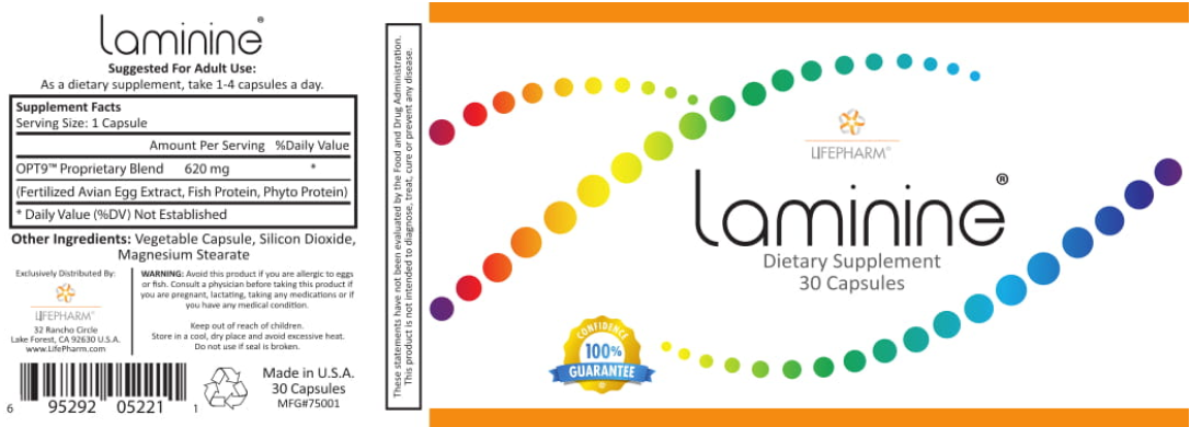 Laminine - Image 2