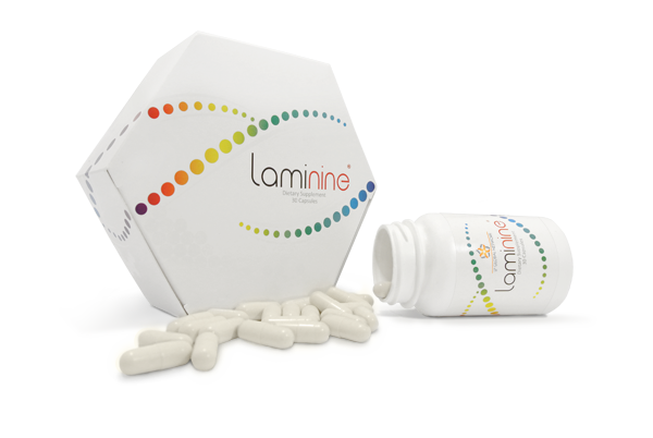 Laminine